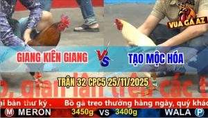 Trận 32 CPC5 25/11/2025 - Anh Giang Kiên Giang Và Anh Tạo Mộc Hóa