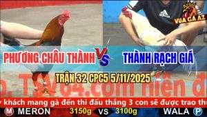 Trận 32 CPC5 5/11/2025 - Anh Phương Châu Thành Và Anh Thành Rạch Giá