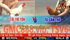 Trận 33 CPC5 22/11/2025 - Anh Tài Và Anh Tư Bất Phân Thắng Bại