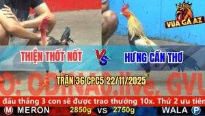 Trận 36 CPC5 22/11/2025 - Điều Trọc Anh Thiện Tiễn Gà Chuối Lên Đường