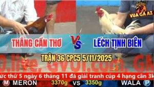 Trận 36 CPC5 5/11/2025 Anh Thắng Cần Thơ Và Anh Lếch Tịnh Biên