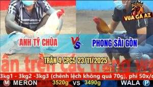 Trận 4 CPC5 23/11/2025 - Gà Xám Hủy Diệt Bướm Hiệu Tý Chúa Nhanh Gọn