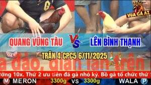 Trận 4 CPC5 6/11/2025 - Gà Bướm Đâm Điều Anh Quang Không Kịp Gỡ Cựa