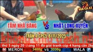 Trận 4 CPC5 8/11/2025 - Anh Tâm Nhà Bàng Và Anh Nhật Long Xuyên