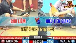 Trận 4 CPC6 1/11/2025 - Gà Cú Anh Hiếu Có Chân Xạo Lờ Hạ Cọp Chú Liêm