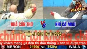 Trận 41 CPC5 16/11/2025 - Anh Nhã Cần Thơ Và Anh Nhí Cà Mau