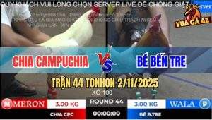 Trận 44 TonHon 2/11/2025 - Gà Bướm Anh Chia Campuchia Đâm Như Máy Sới