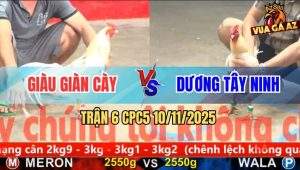 Trận 6 CPC5 10/11/2025 - Anh Giàu Giàn Cày Và Anh Dương Tây Ninh