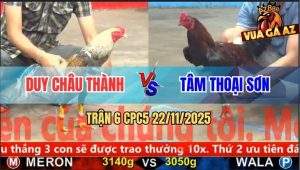 Trận 6 CPC5 22/11/2025 - Xám Cú Đá Khỏi Tha Lơ, Điều Hứng Cựa Ói Tiền