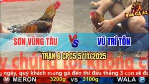 Trận 6 CPC5 5/11/2025 - Anh Sơn Vũng Tàu Và Anh Vũ Trí Tôn