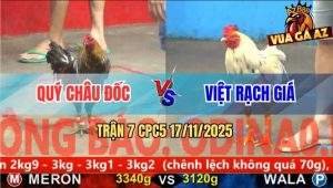 Trận 7 CPC5 17/11/2025 - Bướm Anh Việt Đâm Xám Ói Tiền Sau 1 Tay Nước