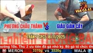 Trận 7 CPC5 18/11/2025 - Điều Xanh Dập Như Cái Máy Đỏ Bung Chạy Mau Lẹ