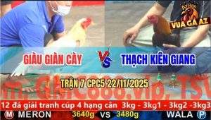 Trận 7 CPC5 22/11/2025 - Bướm Hiệu Anh Giàu Siết Gãy Cổ Đối Thủ