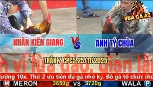 Trận 7 CPC5 25/11/2025 - Điều Cọp Tý Chùa Đá Đỏ Không Nhấc Được Chân