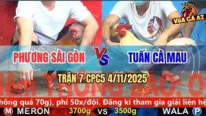 Trận 7 CPC5 4/11/2025 - Anh Phương Sài Gòn Và Anh Tuấn Cà Mau