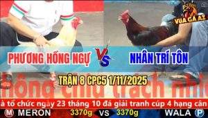Trận 8 CPC5 1/11/2025 - Anh Phương Hồng Ngự Và Anh Nhân Trí Tôn