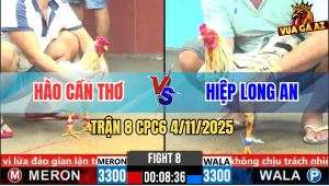 Trận 8 CPC6 4/11/2025 - Gà Bướm Anh Hào Gồng Nước Khuya Quá Tốt