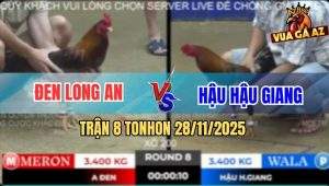 Trận 8 TonHon 28/11/2025 - Xám Cọp Idol Tính GaKing Lụm Xổ 200 Gọn Lẹ