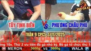 Trận 9 CPC5 3/11/2025 - Anh Tây Tịnh Biên Và Anh Phương Châu Phú