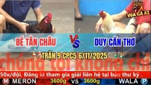 Trận 9 CPC5 6/11/2025 - Bướm Anh Duy Đá Tăng 1 Điêu Tắt Điện Hết Cứu