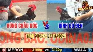Trận 9 CPC5 7/11/2025 - Anh Hùng Châu Đốc Và Anh Bình Gò Đen
