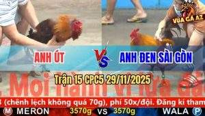 Trận 15 CPC5 29/11/2025