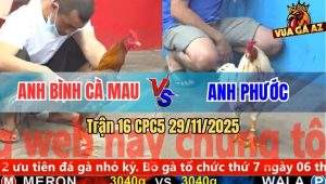 Trận 16 CPC5 29/11/2025