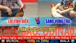 Trận 23 CPC5 12/11/2025