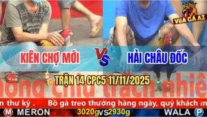 Trận 14 CPC5 11/11/2025