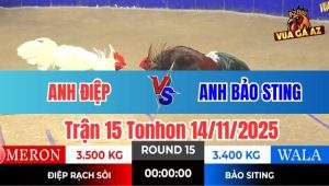Trận 15 Tonhon 14/11/2025