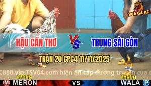 Trận 20 CPC4 11/11/2025