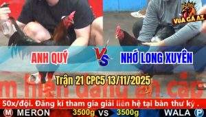 Trận 21 CPC5 13/11/2025