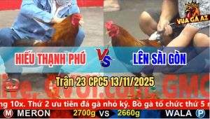 tran 23 cpc5 13 11 2025