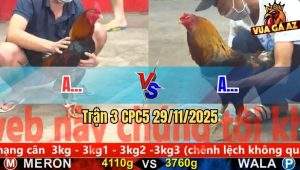 Trận 3 CPC5 29/11/2025