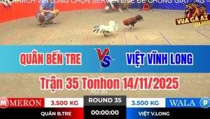 Trận 35 Tonhon 14/11/2025