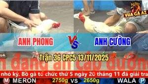 Trận 36 CPC5 13/11/2025