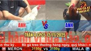 Trận 4 CPC5 12/11/2025