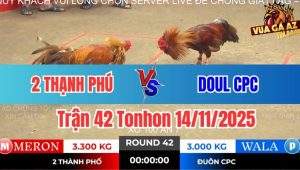 Trận 42 Tonhon 14/11/2025