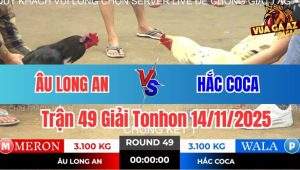 Trận 49 Giải Tonhon 14/11/2025