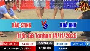 Trận 56 Tonhon 14/11/2025