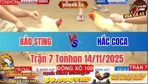 Trận 7 Tonhon 14/11/2025