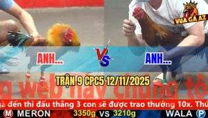 Trận 9 CPC5 12/11/2025