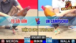 Trận 10 CPC3 7/12/2025 - Gà Điều Anh Tú Đâm Gà Khét Đi Lảo Đảo