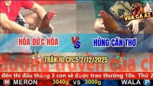 Trận 10 CPC5 2/12/2025 - Điều Đuôi Lao Đá Cây Lưng Phèn Té Cắm Đầu