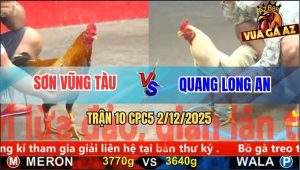 Trận 10 CPC5 3/12/2025 - Xám Cú Anh Sơn Đá Tăng Úa Ra Si Rô Chạy Chết