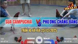 Trận 10 Xà Xía 23/12/2025 - Xanh Trả Đòn Phút 90 Đối Thủ Ngỡ Ngàng