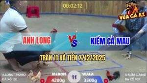 Trận 11 Hà Tiên 7/12/2025 - Gà Long 4G Dư 7 Chấm Để Lại Đôi Dép Trả Nợ