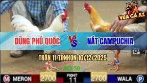 Trận 11 TonHon 10/12/2025 - Mỹ Liều Mát Tay Thả Gà Hạ Cánh Campuchia