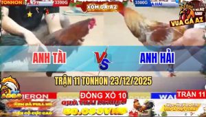 Trận 11 TonHon 23/12/2025 - Xám Son Đá Phát Nào Điều Ra Tiền Phát Đó