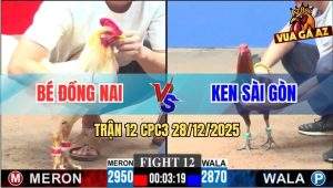 Trận 12 CPC3 28/12/2025 - Anh Bé Và Anh Ken Sài Gòn Bất Phân Thắng Bại